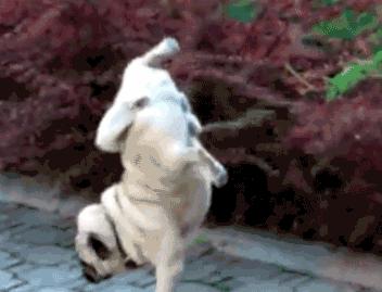 这就是朋友和闺蜜的区别,好朋友和死党区别