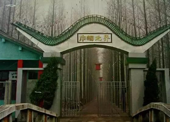 80年代一张老照片的回忆,值得珍藏的40张老照片