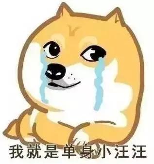 情人节后什么行业会有转折,情人节过后花店生意差