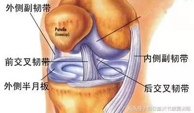 膝关节半月板损伤的最好治疗方法,膝关节半月板损伤症状和处理方法