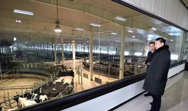 你喝到的每一滴牛奶里也许都含有以色列SRC公司的技术