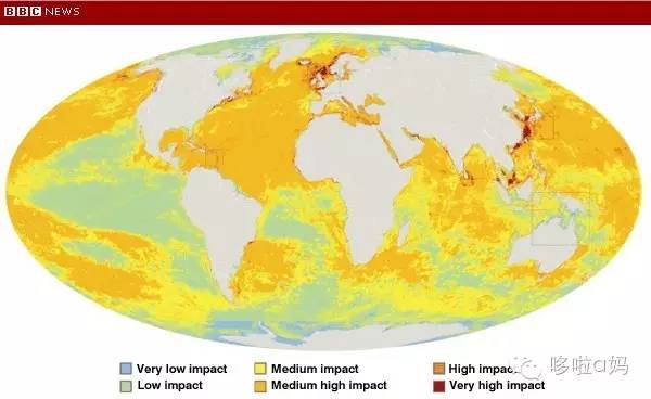 怎样的鱼油才是好的鱼油,全家健康营养补充