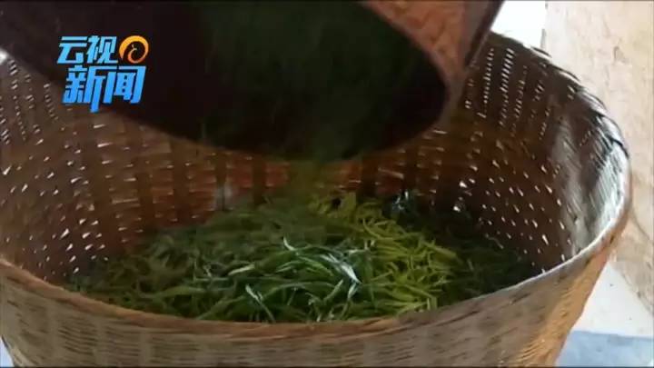 外交部蓝厅,外交部蓝厅在哪