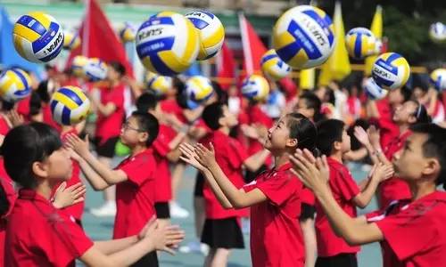 足球篮球看外国，排球看中国｜排球全明星首发亮相