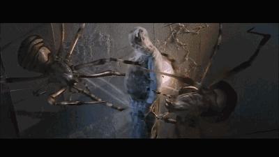 这是你们要的大长腿，备好纸巾，准备上下其手吧