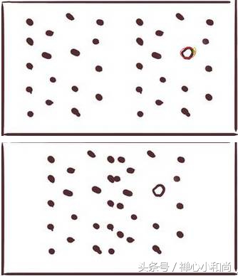 最强大脑小四道歉完整版,最强大脑小四和魏教授吵架