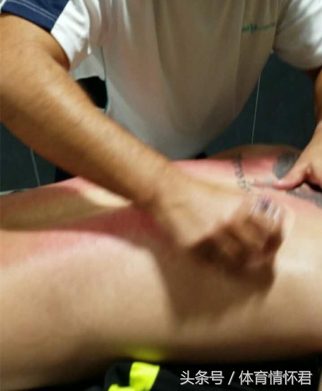 霸气张继科生涯逆转藏獒,张继科藏獒精神永不言败