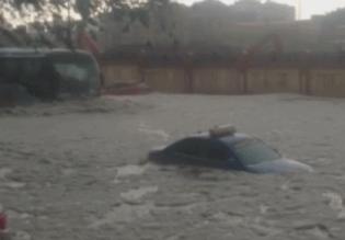 过马路一定要减速慢行,过马路一定要慢点走