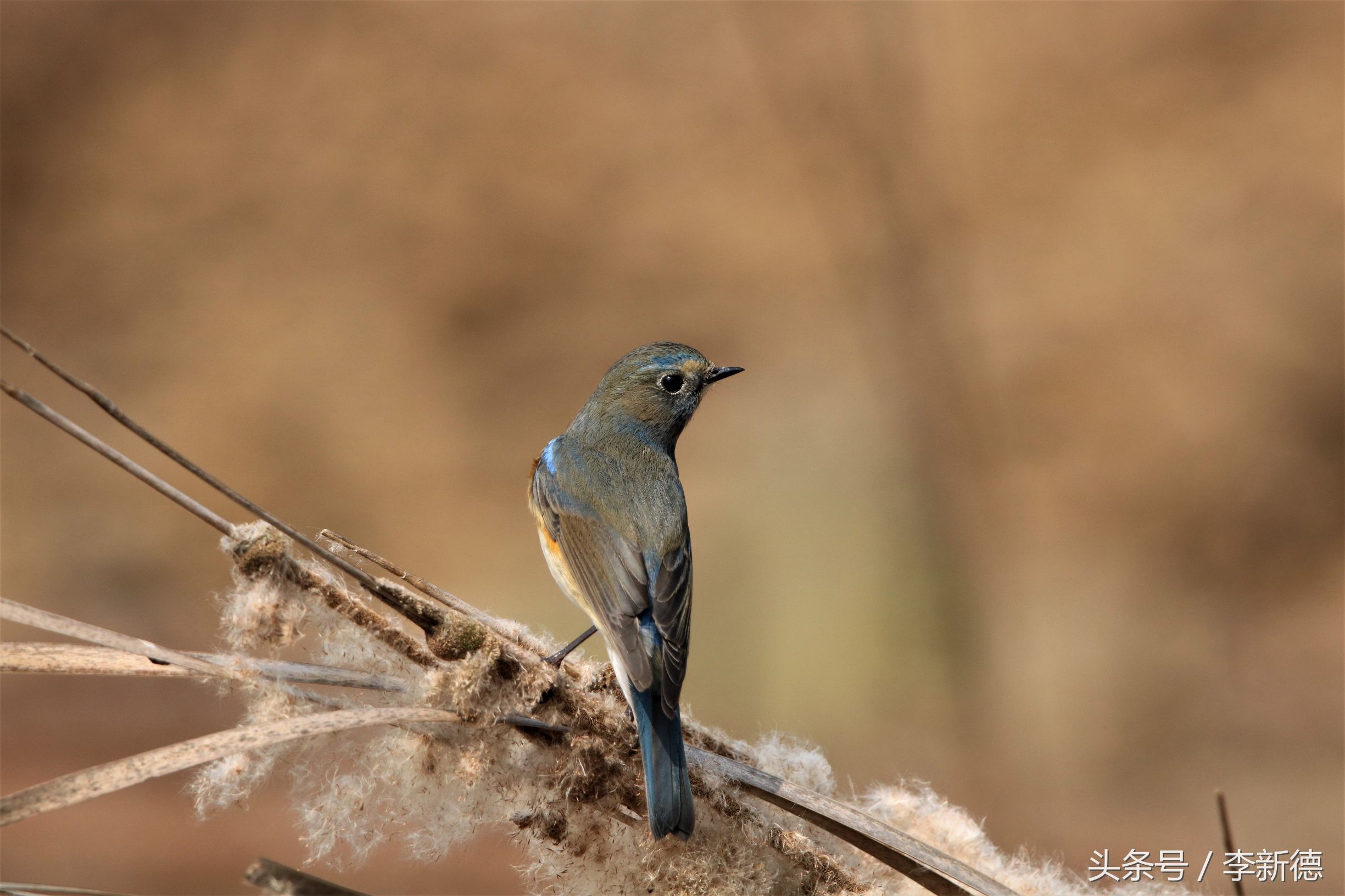 合肥翡翠心形湖,合肥最大翡翠湖