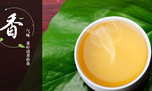 如果胃不好请喝这三种茶,什么茶适合胃不好的人长期喝