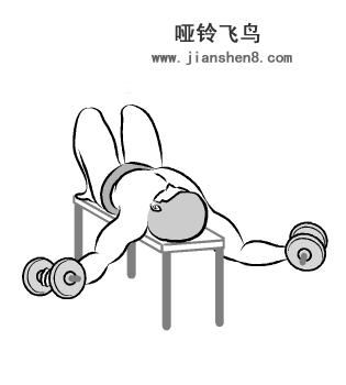 17岁高中生暑假哑铃健身计划,哑铃练全身30天新手训练计划