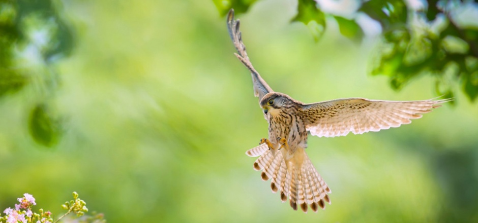 考研准考证还要盖章吗,考研准考证什么时候出