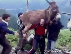 十个笑话简短,十个笑话经典