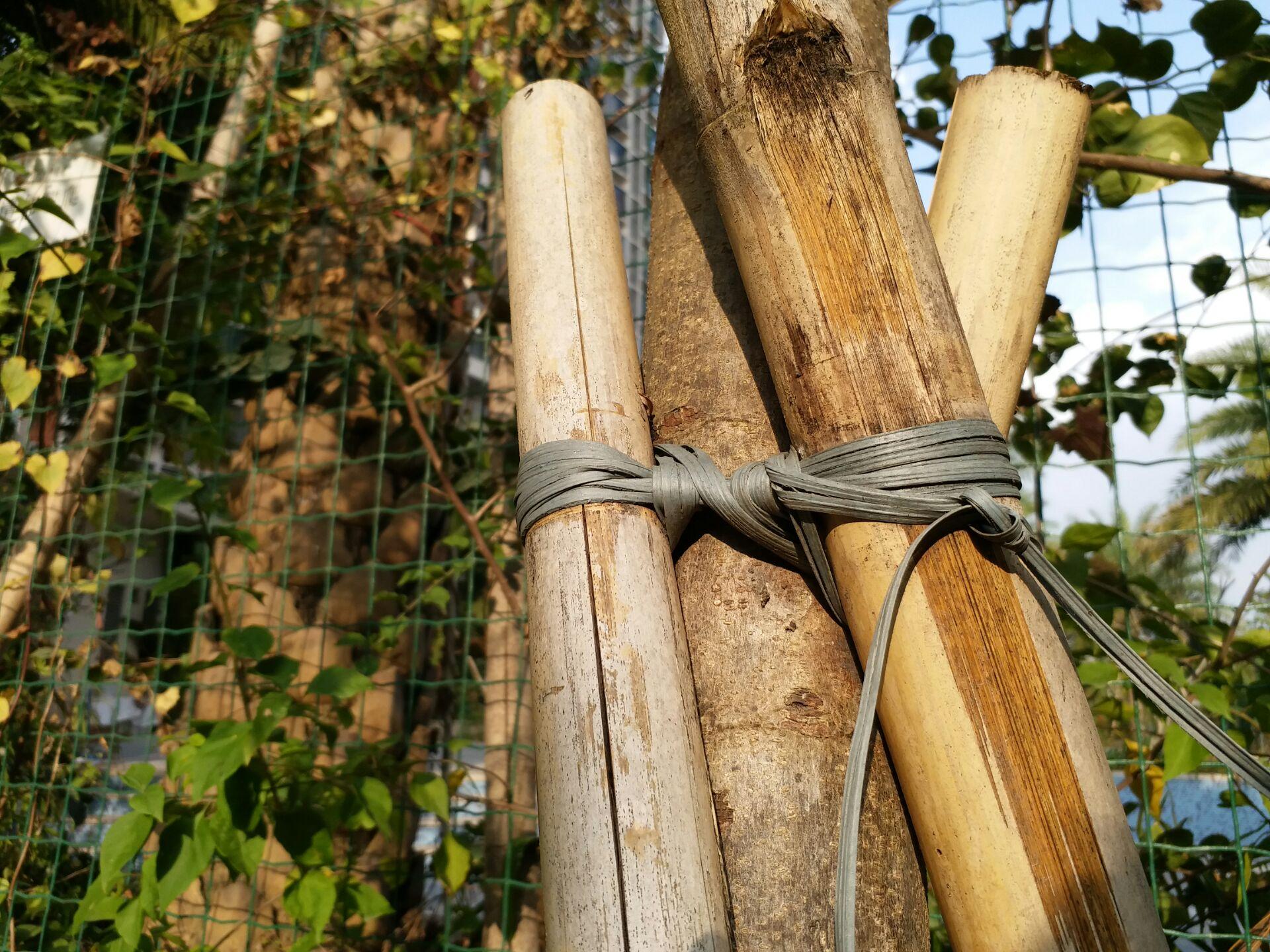 除了颜值高轻薄还有啥？三星C7Pro一周体验告诉你