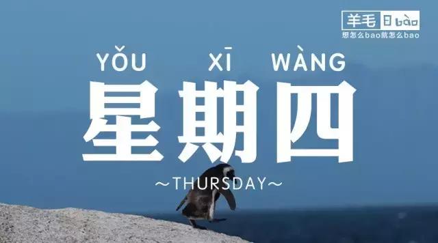 一周羊毛汇总,冬月羊毛