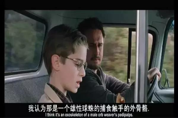 这是你们要的大长腿，备好纸巾，准备上下其手吧