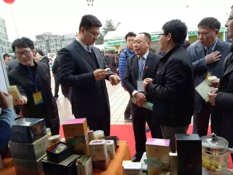 金花茶文化旅游节2019,金花茶节