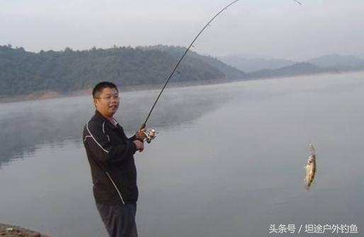 水库钓鱼的四件事,水库钓鱼完全没有口是怎么回事