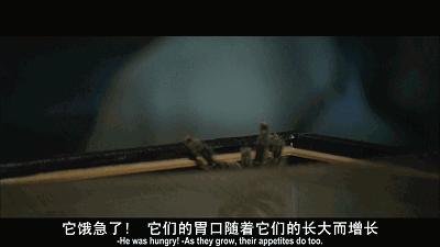 这是你们要的大长腿，备好纸巾，准备上下其手吧