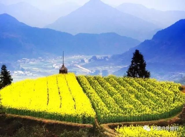 郑州到婺源自由行攻略,郑州去婺源怎么去