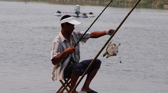 捉甲鱼技术视频,捕甲鱼绝技