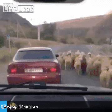 美女说自己只喝拉菲，最后结账三杯酒才86元！