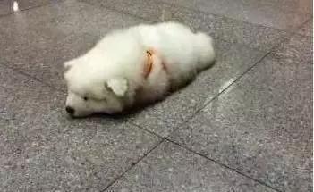 有时候觉得自己变丑了的配音,有时候觉得自己变丑了原视频