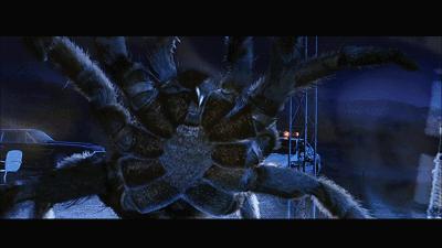 这是你们要的大长腿，备好纸巾，准备上下其手吧