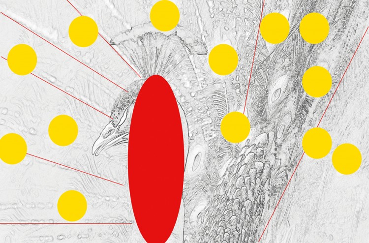 西双版纳3小时可以去哪,西双版纳五小时