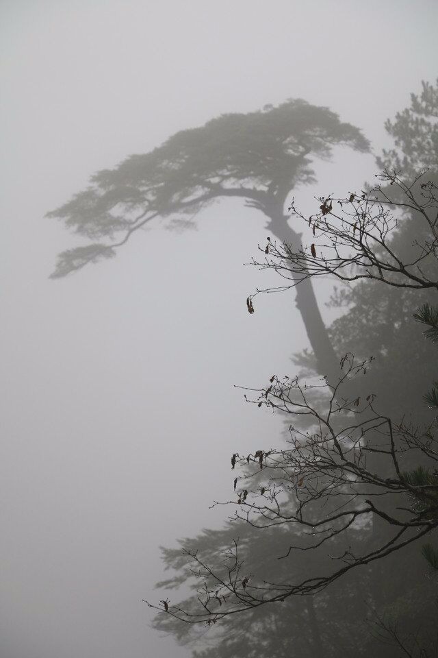 大明山风景区金龟瀑布,昌溪风景区到新安江画廊