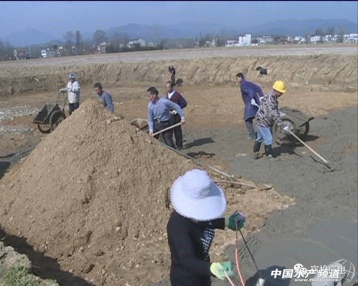 水蛭养殖季节,水蛭捕捞时间在几月份