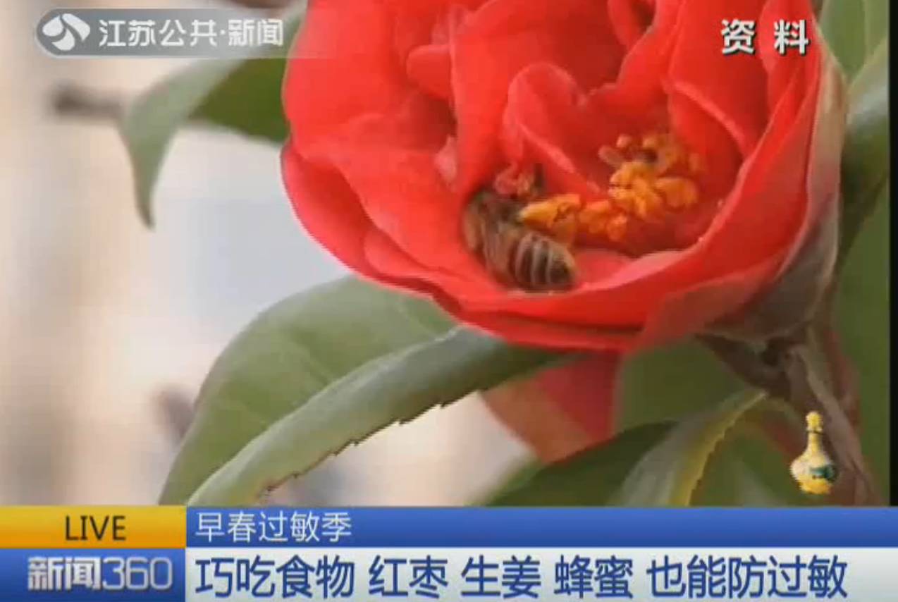 春季皮肤过敏发肿泛红发痒小妙招,春季脖子皮肤过敏泛红发痒小妙招