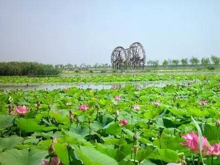 滨河新区,银川滨河新区以后怎么样