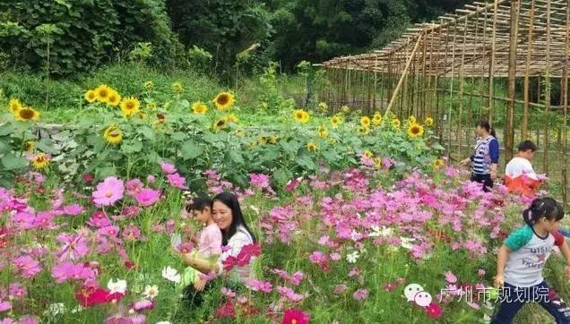 今日关注｜您好我叫从化，这是我的最新简历