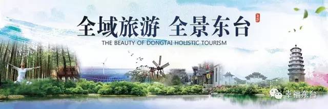 东台国企和央企,东台央企