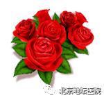 玫瑰专属的话题,关于玫瑰和爱情