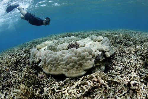 西沙群岛可以去旅游吗视频,到西沙群岛旅游全程费用