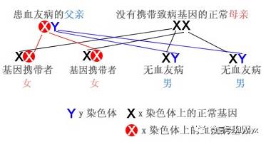 育儿知识宝宝总流鼻涕是怎么回事,婴幼儿出血应该怎么处理