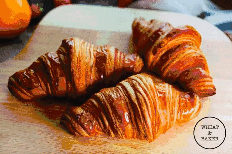 成都最正宗的法国面包店,这家被无数网红疯狂安利的面包店