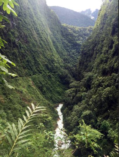 不被蚂蟥咬一次，怎能算走过墨脱｜徒步墨脱大结局