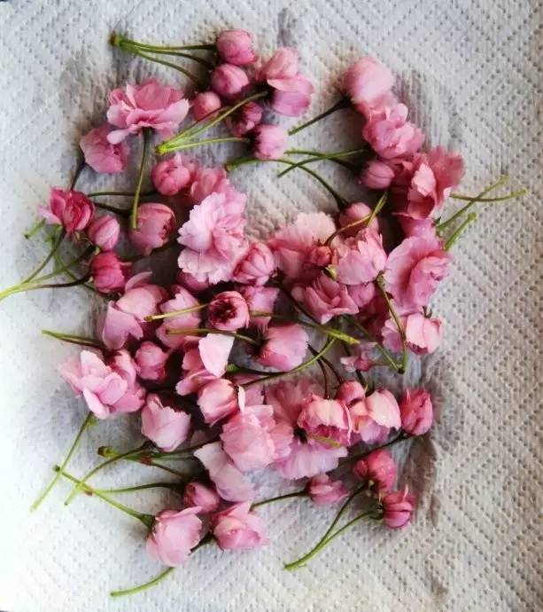 吃下这一口少女心！嗷呜！