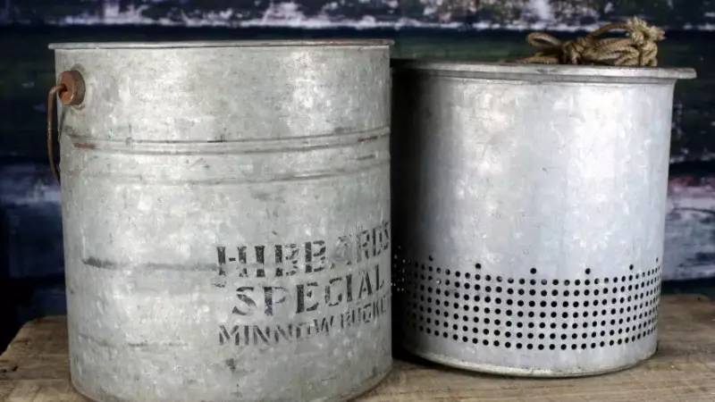 外来入侵给我们的警示,外来入侵的途径