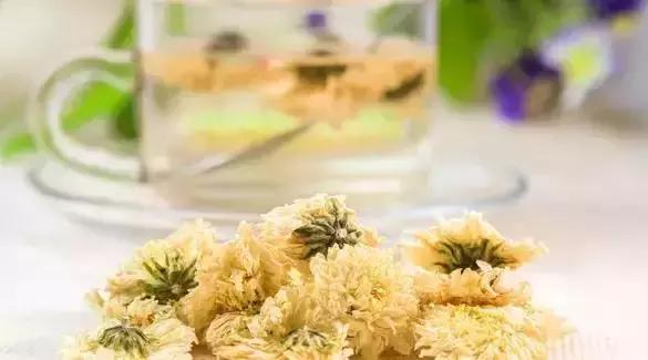 刘虎岐:想要种中草药赚钱,你先得了解它们!