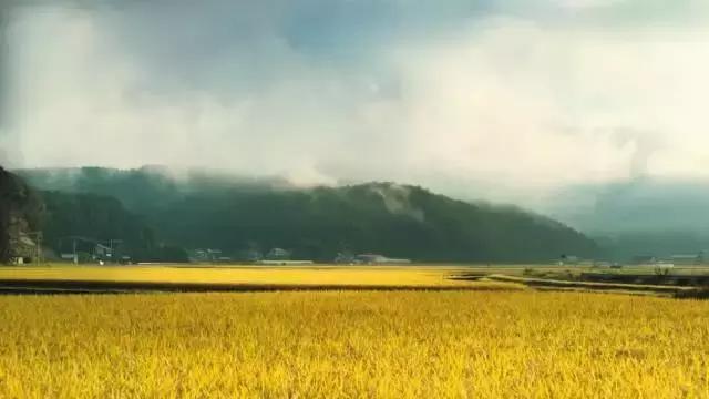 座敷童子传说,一座老宅的真实传说