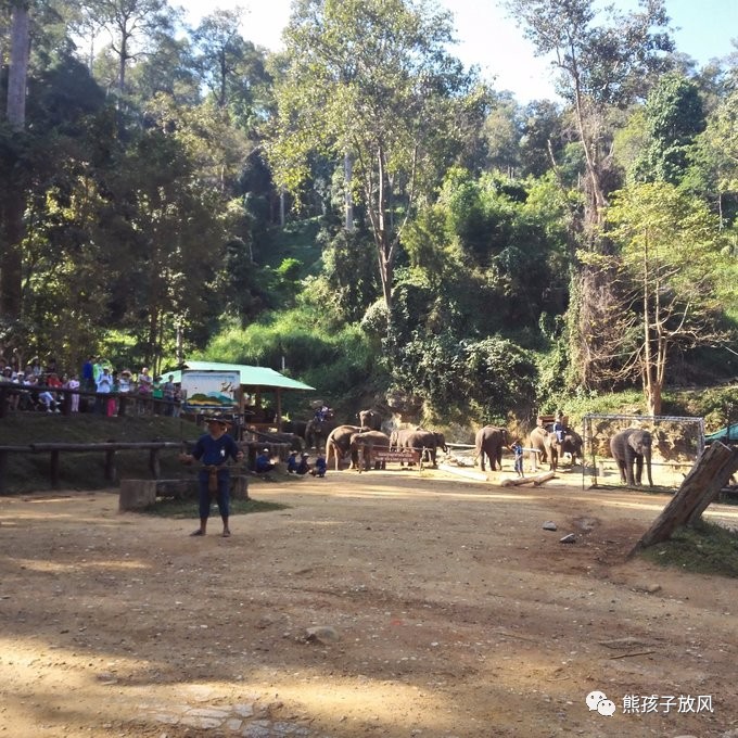 能在异国被警察抓也没谁了吧？这是我的清迈，和你去的不一样！