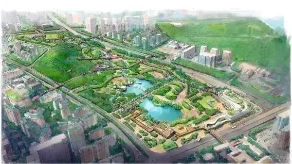 深圳又热了,深圳现在很热了吗