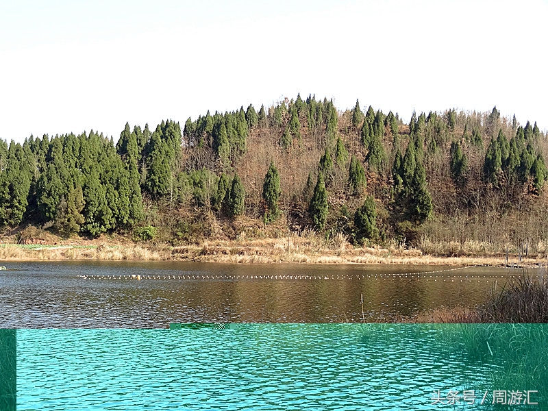 西充青龙湖湿地公园,西充青龙湖湿地公园图片大全