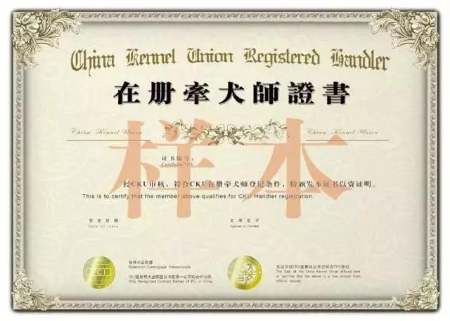 狗狗打比赛项目有哪些,狗狗比赛都有什么项目