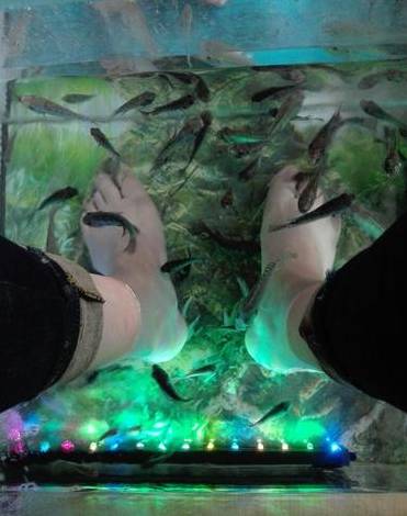 郑州适合情侣去的馆子,适合情侣去的美食店郑州