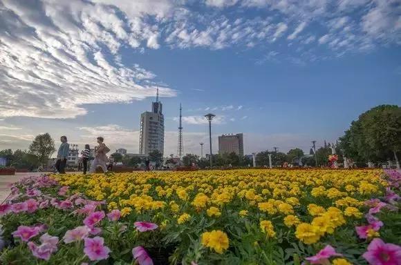 离开邓州？别逗了，五年后的大邓州，你高攀不起！